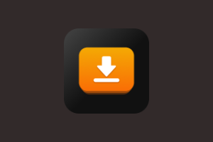 iDownerGo Pro 10.9.3 64位多语言便携版-阳子湖软件园