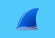 Wireshark中文版 v4.6.4 多语便携版-网络抓包工具-阳子湖软件园