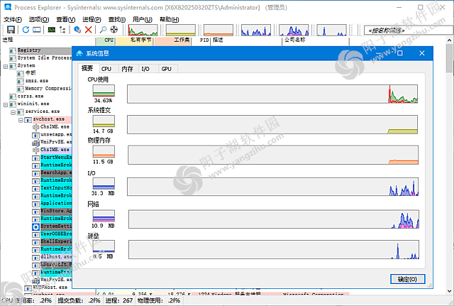 Process Explorer v17.11 汉化绿色版-微软进程资源管理器插图