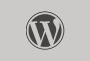 WordPress中文版 v6.9.4 正式版-网站博客程序-阳子湖软件园