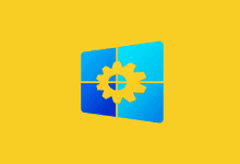 Windows Manager 10/11 v2.0.4 中文直装版-Win10/11优化大师-阳子湖软件园