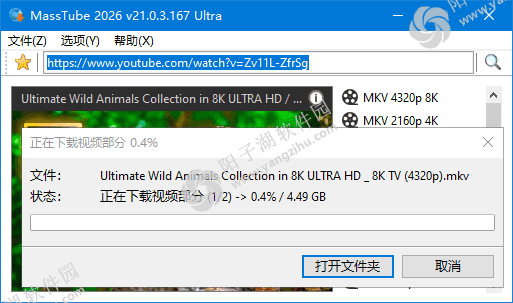 MassTube Ultra v21.6.0.206 多语便携版-YouTube视频下载工具插图