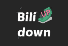 Bilidown v1.2.7 中文绿色版-B站视频下载工具-阳子湖软件园