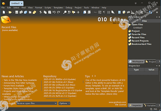 010 Editor v16.0.4 官方便携版-专业十六进制编辑器插图