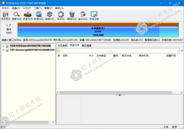 DiskGenius专业版(磁盘分区工具) v5.6.1.1580 多语便携版