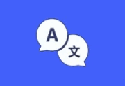 CopyTranslator v12.1.0 中文绿色版-多语言翻译工具-阳子湖软件园
