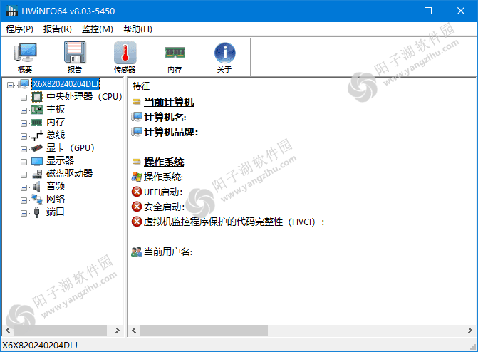 HWiNFO(专业系统信息检测工具) v8.03.5450 中文绿色版