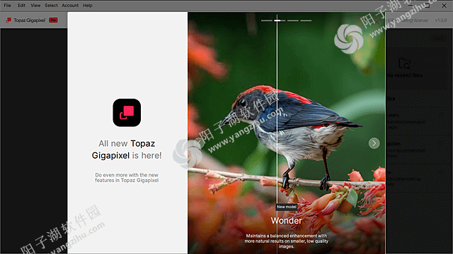 Topaz Gigapixel v1.1.3 直装破解版-图像超分辨率软件插图