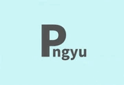 Pngyu v1.0.5 中文绿色版-PNG图像批量压缩工具-阳子湖软件园