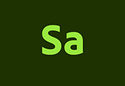 Adobe Substance 3D Sampler v5.1.3 直装破解版-简称Sa破解版-阳子湖软件园