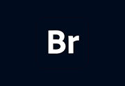 Adobe Bridge 2019-Bridge免激活版-阳子湖软件园