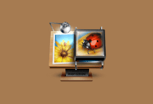 PhotoZoom Pro v9.0.2 多语便携版-图像无损放大软件-阳子湖软件园