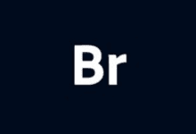 Adobe Bridge 2024 v14.1.2 破解版-BR2024破解版-阳子湖软件园