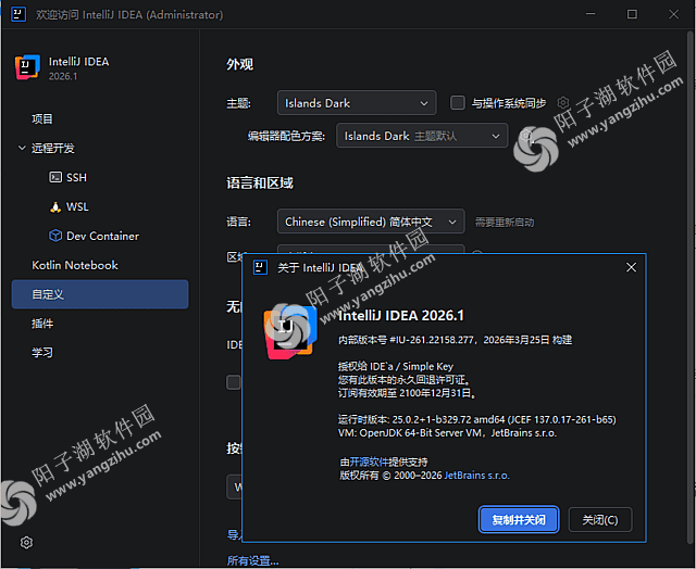 Jetbrains IntelliJ IDEA 2026.1 直装激活版-Java集成开发环境插图