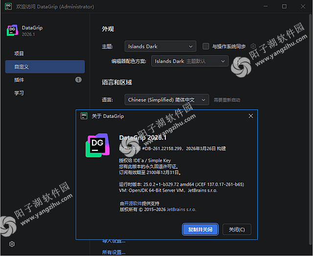 JetBrains DataGrip 2026.1 直装激活版-数据库集成开发环境插图