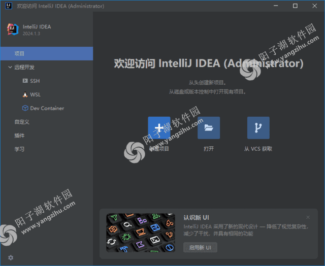 Jetbrains IntelliJ IDEA(Java集成开发环境) 2024.1.3 直装激活版