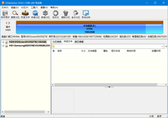 DiskGenius专业版(磁盘分区工具) v5.6.1.1580 多语便携版