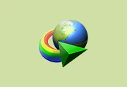 IDM下载器(Internet Download Manager) v6.43.16 仿官方安装版-阳子湖软件园