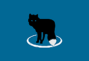 MetaFox(轻量级MKV视频转换软件) v2.6.5 便携版-阳子湖软件园
