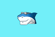 Shark007 Codecs(多媒体编解码器套件) v20.9.5 便携版-阳子湖软件园